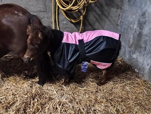 Partij (mini) shetlander dekens, Dieren en Toebehoren, Paarden en Pony's | Dekens en Dekjes, Zo goed als nieuw, Ophalen