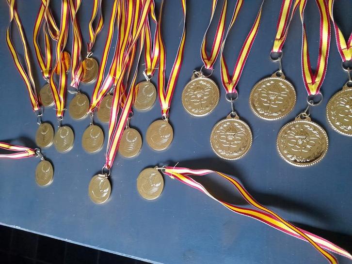 19 medailles, Postzegels en Munten, Penningen en Medailles, Overige materialen, Ophalen of Verzenden