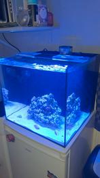 Zeeaquarium waterbox 75 liter, Dieren en Toebehoren, Vissen | Aquaria en Toebehoren, Ophalen, Zo goed als nieuw, Leeg aquarium