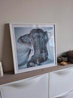 Olifant Foto/Poster - Love Warriors Adele (50x50), Huis en Inrichting, Woonaccessoires | Schilderijen, Tekeningen en Foto's, Ophalen