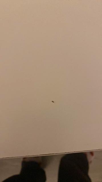 Ikea Malm bureau - afbeelding 5