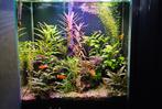 Fluval Edge II Zwart met heel veel toebehoren., Ophalen, Gebruikt, Gevuld zoetwateraquarium