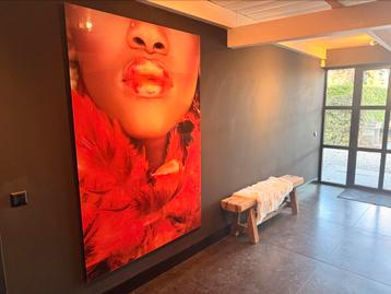 XXL Plexiglas schilderij 1.80 x 90 beschikbaar voor biedingen