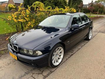 BMW 5-serie 520i Executive AIRCO CRUISE CONTROL LM VELGEN beschikbaar voor biedingen