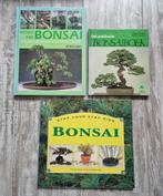 3x Bonsai boeken, Ophalen of Verzenden, Zo goed als nieuw, Tuinieren en Tuinplanten