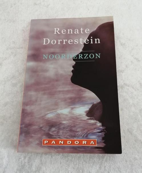 Noorderzon  Renate Dorrestein  Een jonge vrouw, Topaas, word, Boeken, Romans, Gelezen, Ophalen of Verzenden