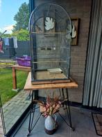 Authentieke vintage/retro vogelkooi, Dieren en Toebehoren, Vogels | Hokken en Kooien, Ophalen, Zo goed als nieuw, Metaal, Vogelkooi