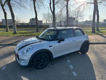 Mini Cooper 1.5 Turbo Pepper Uitvoering, In Top Staat!! beschikbaar voor biedingen