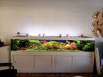 Summer sale op aquarium onderhoudsabonnement, Overige typen, Zoetwatervis