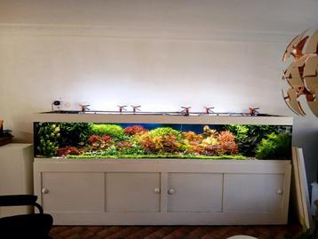 Summer sale op aquarium onderhoudsabonnement beschikbaar voor biedingen