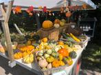 Pompoenen, Vacatures, Vacatures | Horeca en Catering, 33 - 40 uur, Overige niveaus, Overige vormen