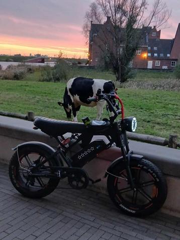 Custum Fatbike V20 beschikbaar voor biedingen