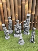 Hele stokstaartjes familie nr.222