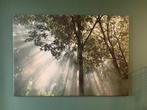 Ikea Canvas Bos Vildmark (zgan), Ophalen, 125 cm of meer, Zo goed als nieuw, Schilderij