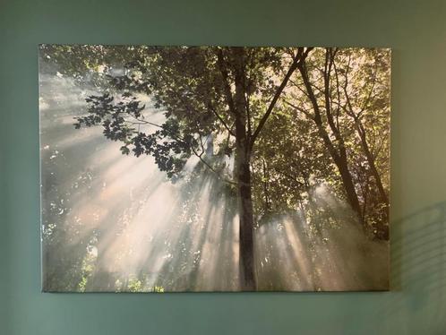 Ikea Canvas Bos Vildmark (zgan), Huis en Inrichting, Woonaccessoires | Schilderijen, Tekeningen en Foto's, Zo goed als nieuw, Schilderij