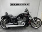 Harley Davidson VRSCF MUSCLE SPECIAL V-ROD V ROD 1250 ABS BO, Motoren, Motoren | Harley-Davidson, 1247 cc, Bedrijf, 2 cilinders