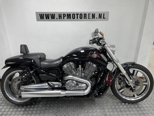 Harley Davidson VRSCF MUSCLE SPECIAL V-ROD V ROD 1250 ABS BO, Motoren, Motoren | Harley-Davidson, Bedrijf, Chopper, meer dan 35 kW