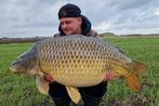 karpervissen  in nederland @ wsclake onder de rook van Breda, Ophalen of Verzenden, Nieuw, Overige typen