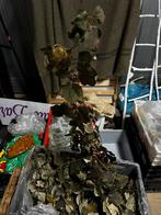 Druiven takken, Huis en Inrichting, Ophalen of Verzenden, Nieuw