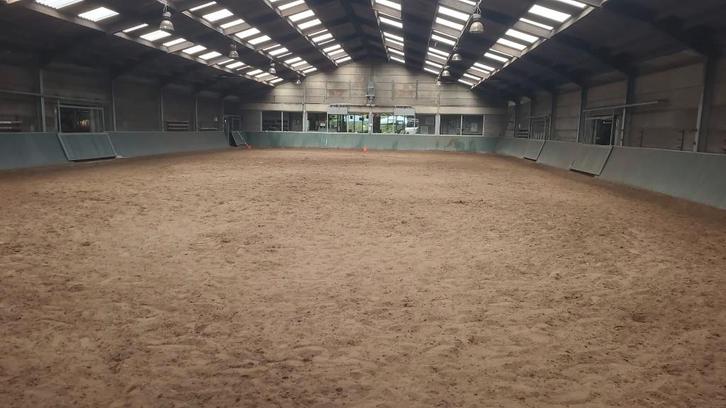 Pensionstal en ook tijdelijke winterstalling mogelijk!, Dieren en Toebehoren, Stalling en Weidegang