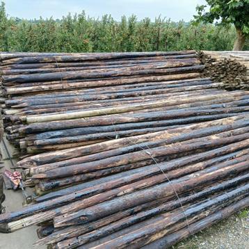 Te koop houten fruitboompalen gem 8 tot 10 dik lopen taps to beschikbaar voor biedingen