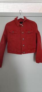 Spijker jack rood, Kleding | Dames, Jassen | Zomer, Gedragen, Ophalen of Verzenden, Maat 36 (S), Rood