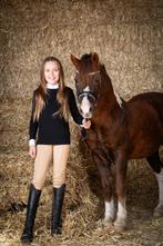 Bixie Spring & Cross B Pony Te Koop Stokmaat 1.22, Dieren en Toebehoren, Pony's, Ruin, Recreatiepony