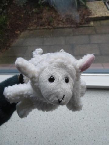 Handpop schaap of schaapje merk Beleduc poppenkastpop beschikbaar voor biedingen