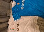 Noa Lang napoli shirts, Maat XL, Ophalen of Verzenden, Zo goed als nieuw, Shirt