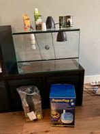 Terrarium (55x35x35) met lampen en vernevelaar, Dieren en Toebehoren, Ophalen, Gebruikt, Terrarium of Paludarium