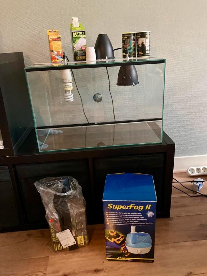 Terrarium (55x35x35) met lampen en vernevelaar, Dieren en Toebehoren, Reptielen en Amfibieën | Toebehoren, Gebruikt, Terrarium of Paludarium