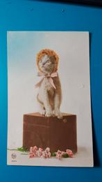 Poes Kat - Roto 6019 - 1928, Ophalen of Verzenden, 1920 tot 1940, Gelopen