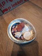 Schelp vol zeevondsten, Ophalen