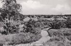16977 Hellendoorn Panorama vanaf de Hellendoornseberg 1968, Verzamelen, Ansichtkaarten | Nederland, Verzenden, 1960 tot 1980, Ongelopen