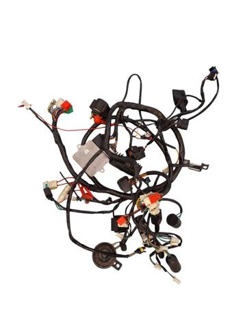 Kabelboom ecu delphi origineel GTS Toscana beschikbaar voor biedingen