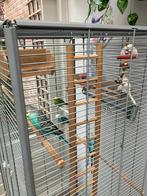 Grasparkieten, Dieren en Toebehoren, Ophalen of Verzenden, Zo goed als nieuw, Metaal, Vogelkooi