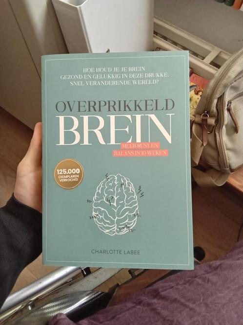 Charlotte Labee - Overprikkeld brein, Boeken, Psychologie, Zo goed als nieuw, Ophalen of Verzenden