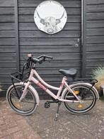 Alpina Cargo meisjesfiets kinderfiets 18 inch goede staat, Fietsen en Brommers, Fietsen | Kinderfietsjes, Ophalen, Zo goed als nieuw