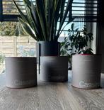 Cassina Miniatures LC1, LC2, LC7 - Nieuw in Blik!, Ophalen