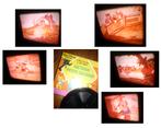 8mm film Walt Disney - 3 Biggetjes - silent rooiig 60mtr -, Audio, Tv en Foto, Filmrollen, Ophalen of Verzenden, 8mm film