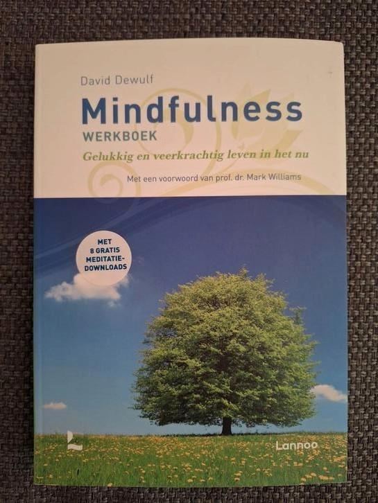 David Dewulf - Mindfulness werkboek, Boeken, Psychologie, Zo goed als nieuw, Verzenden