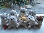 Hamster hamstertje merk Jafri Toys Jafritoys Gamble Pleasure, Ophalen of Verzenden, Zo goed als nieuw, Overige typen
