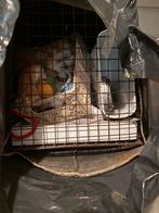 Katten spullen, Ophalen, Gebruikt