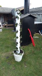 aardbeien toren, plantenbak voor verticaal tuinieren, Ophalen, Tuin, Kunststof, Gebruikt