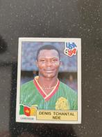Panini usa 94 Denis tchantal nde, Ophalen of Verzenden, Zo goed als nieuw, Buitenlandse clubs, Poster, Plaatje of Sticker