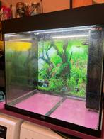 Lido 120 aquarium. Inclusief kast. Sinterklaas, Dieren en Toebehoren, Ophalen, Gebruikt, Leeg aquarium