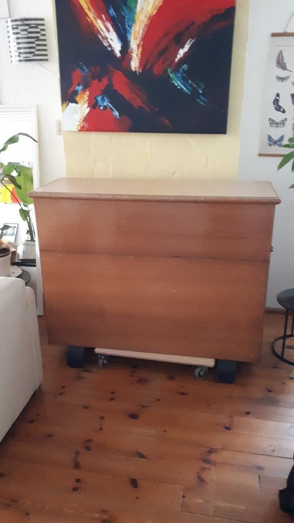 Opbergkast/kist, Huis en Inrichting, Kasten | Dressoirs, Zo goed als nieuw, 100 tot 150 cm, 25 tot 50 cm, Ophalen of Verzenden