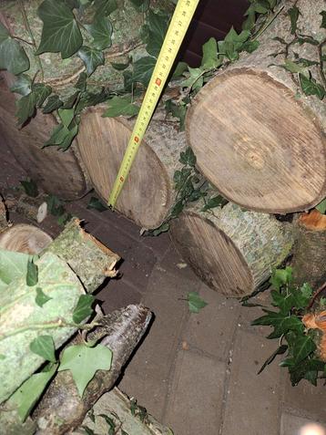 Walnoot & Pruimboom Brandhout beschikbaar voor biedingen