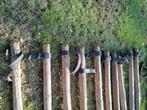 boompalen + rubber, Tuin en Terras, Planten | Bomen, Bloeit niet, Overige soorten, Minder dan 100 cm, Ophalen