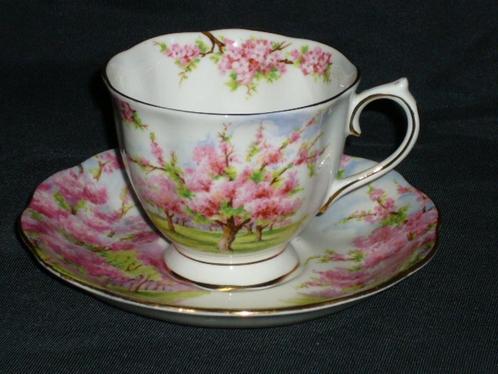 Royal Albert Blossom Time Heren Kop/Schotel, Verzamelen, Porselein, Kristal en Bestek, Zo goed als nieuw, Kop en/of schotel, Ophalen